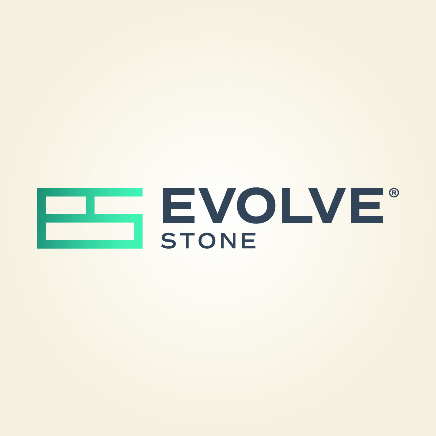 Evolve® Stone Logo