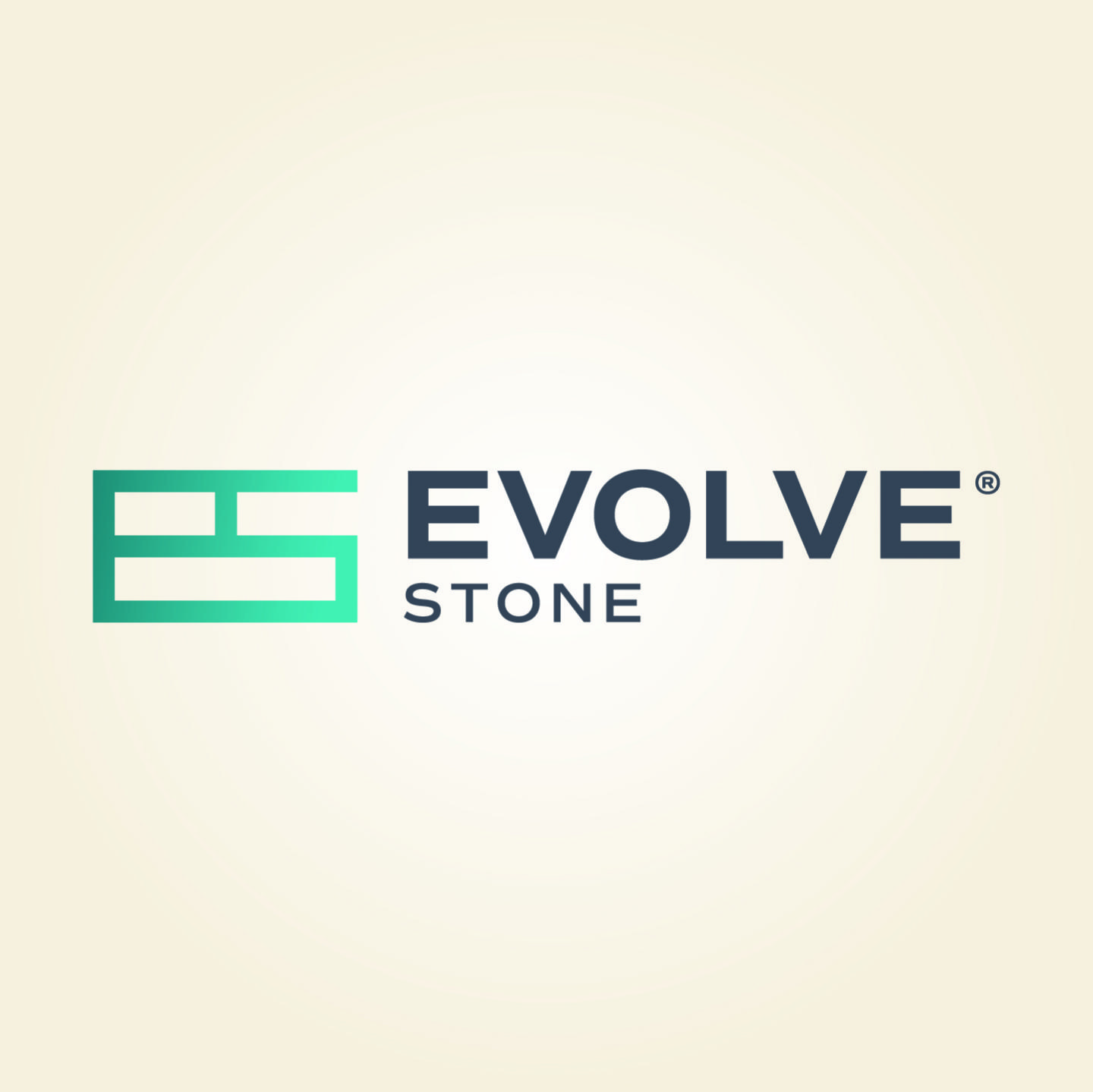 Evolve® Stone Logo