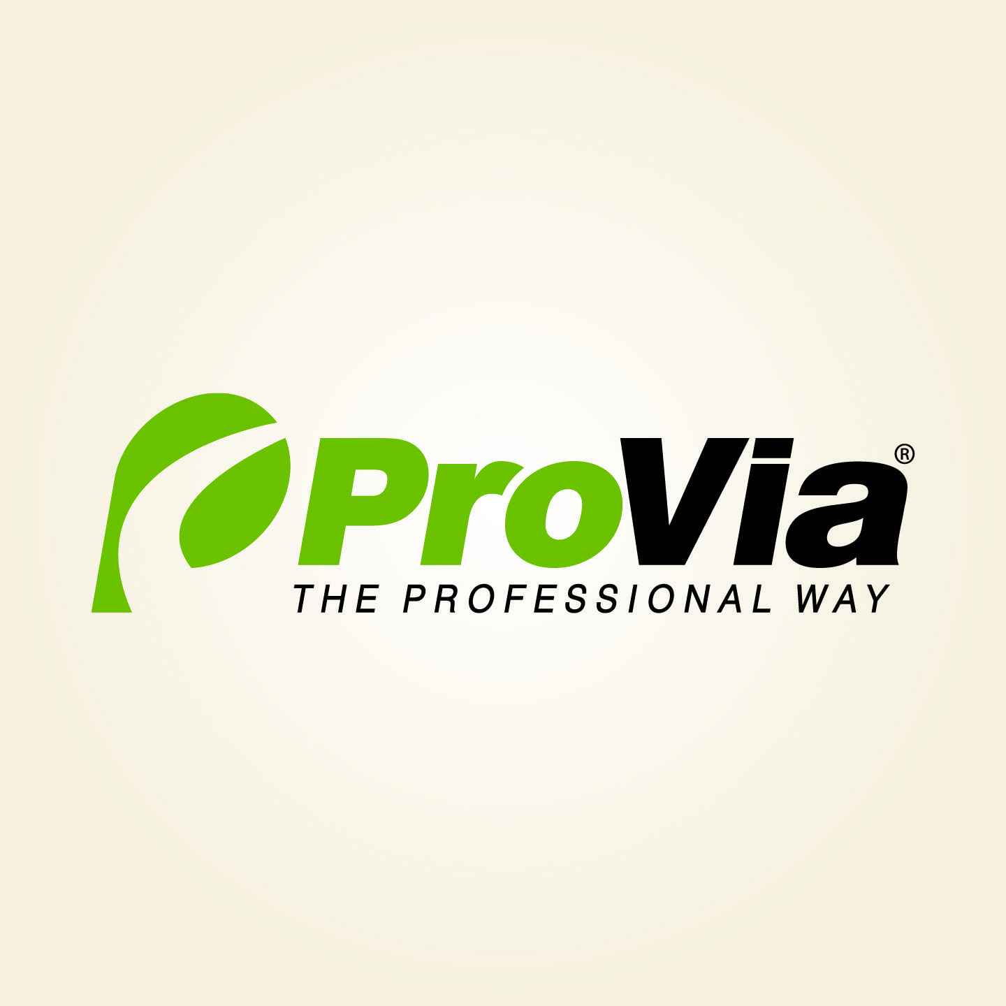 ProVia® Stone Logo