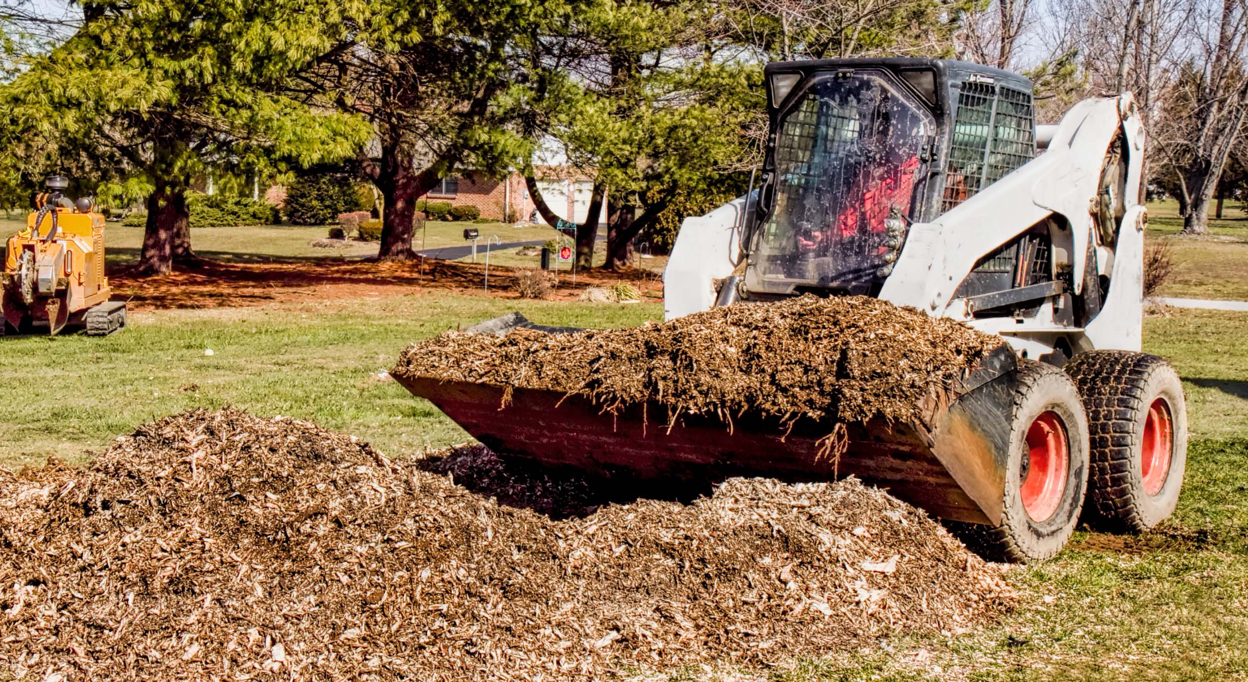 Skid steer loader transporting a full bucket of mulch on a residential lawn surrounded by trees