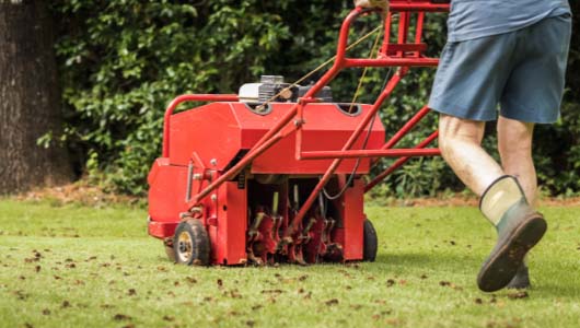 Homeowner Using a Red Core Aerator On a Lawn