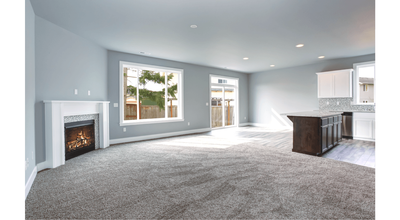 Carpet Flooring in Living Room
